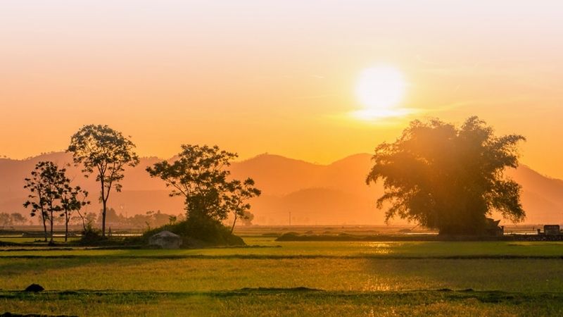 Mù thu về với quê hương